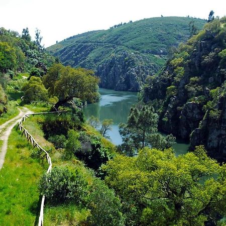 Casa Elizabeth Villa Pedrogao Grande Dış mekan fotoğraf